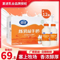 (12 bottles x500ml) Xia Jin condensed milk flavored milk nutritious breakfast milk student Adult Milk Whole box bottled