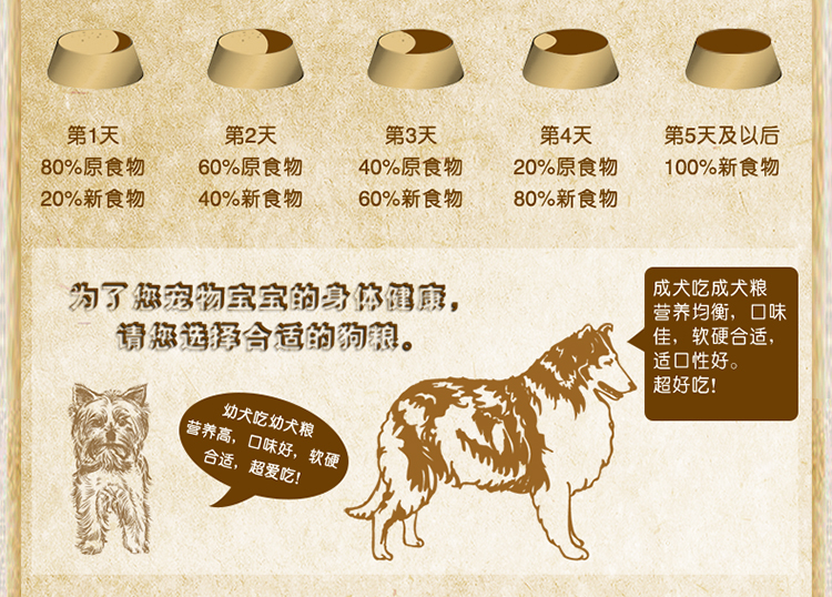 Tuyệt vời chó trưởng thành lớn thịt bò hương vị thịt bò schnauzer hạt chính lông sáng để nước mắt trái cây và thực phẩm rau - Chó Staples hạt zenith