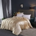 Summer băng lụa satin chăn đặt màu nude tối Tencel xanh lụa chăn che lụa trần truồng đơn chăn - Quilt Covers chăn băng lông Quilt Covers