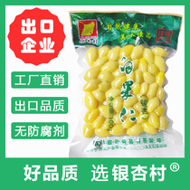 (Ginkgo Village Brand) Preserved White Nut Ginkgo Fruit Factory Direct Sales Vacuum Packaging Guilin Hongxin Food