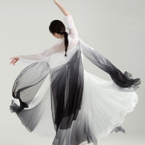 Chinese performance costumes Yanyun classical dance black and white ink dance skirt book slips ethnic dance practice elegant performance