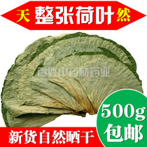 荷叶茶 干荷叶片整张荷叶可配决明子荷叶茶整张荷叶新货500克