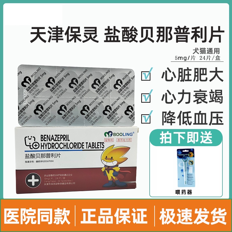 Hydrochloric Acid Benapril Sheet Dog Cat Hypertension Heart hypertrophy Bain Heart Shu Slow Kidney Failure