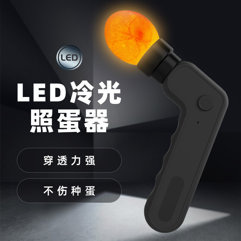 Hui Hui Egg Illuminator Hatches Special Light Egg Charging LED Light Light Mini Flashlight