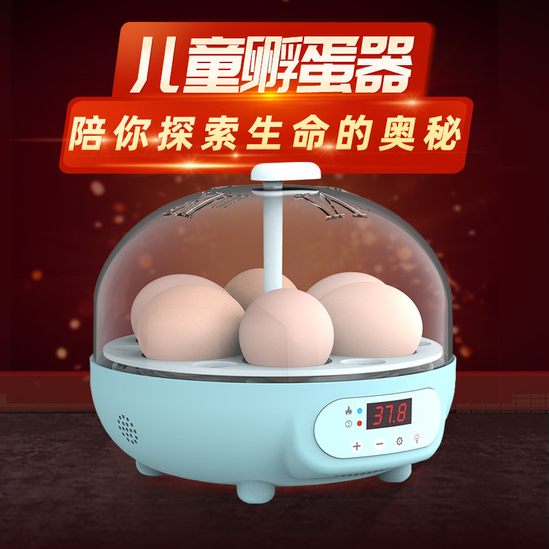 Dimensional Modesty Children Hatchery Birds Eggs Incubators Small Home Mini Chicks Quail Fully Automatic Intelligent Incubators