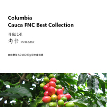 Coffee Beans Order Roasted Colombian Cauca Cauca FNC Best Collection Half Pound 227g