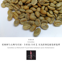 2020 Season Colombian Palm and Toucan Estate Caturra Catuai Lactic Acid Fermentation 1kg