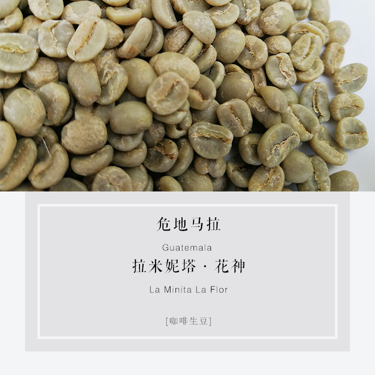 Coffee beans raw beans Guatemala Laminita Manor Flower God SHB boutique coffee beans new season 1kg