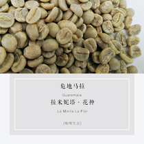 Coffee beans Raw beans Guatemala Raminita Manor Huashen SHB Boutique coffee beans new season 1kg