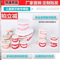 Tooth model mold Removable tooth mold Oral teaching denture props Brushing teaching aids Dental dental standards