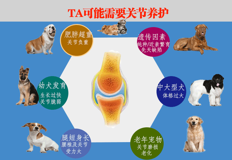 迪夫瑞宠物软骨素关节舒200片