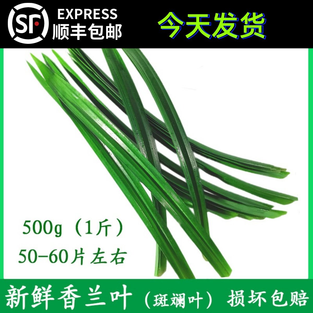 新鲜香兰叶,让泰国料理和海南鸡饭更加诱人!🌿 -菠萝-淘宝百科网