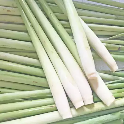 6 fresh lemongrass citronella fragrant hair lemon grass lemongrass citronella tea Thai winter Yin soup material