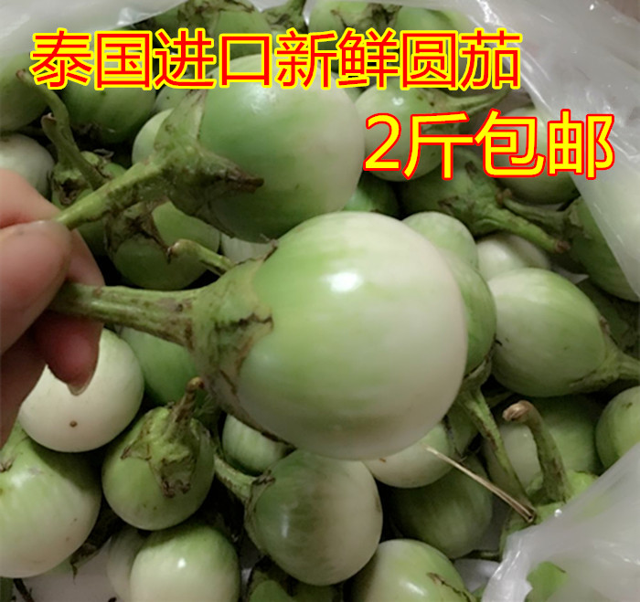 Thai dining room with fresh large round eggplant 500g fresh garden eggplant Eggplant Curry Vegetable Southeast Asian Dining Room Ingredients