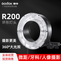 Godox R200 round ring light outdoor shooting light AD200 AD200pro flash light effect photography equipment accessories