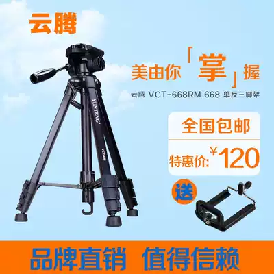 Canon SLR Camera 60D 80D 70D 700D 750D 600D Photography and video professional tripod