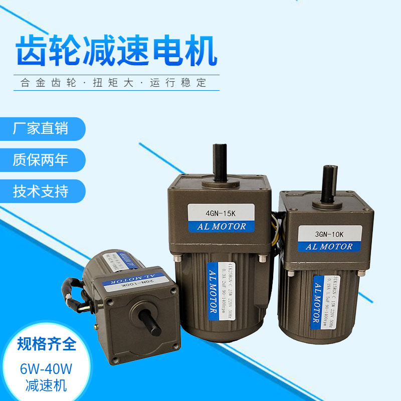 Constant Hyper Communication Gear Slow Motor 6W15W25W40W throttling motor reversible slow motor 220V 380V