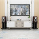 Custom speaker bracket shock absorber rack bracket desktop audio tripod bookshelf surround floor hifi equipment shelf