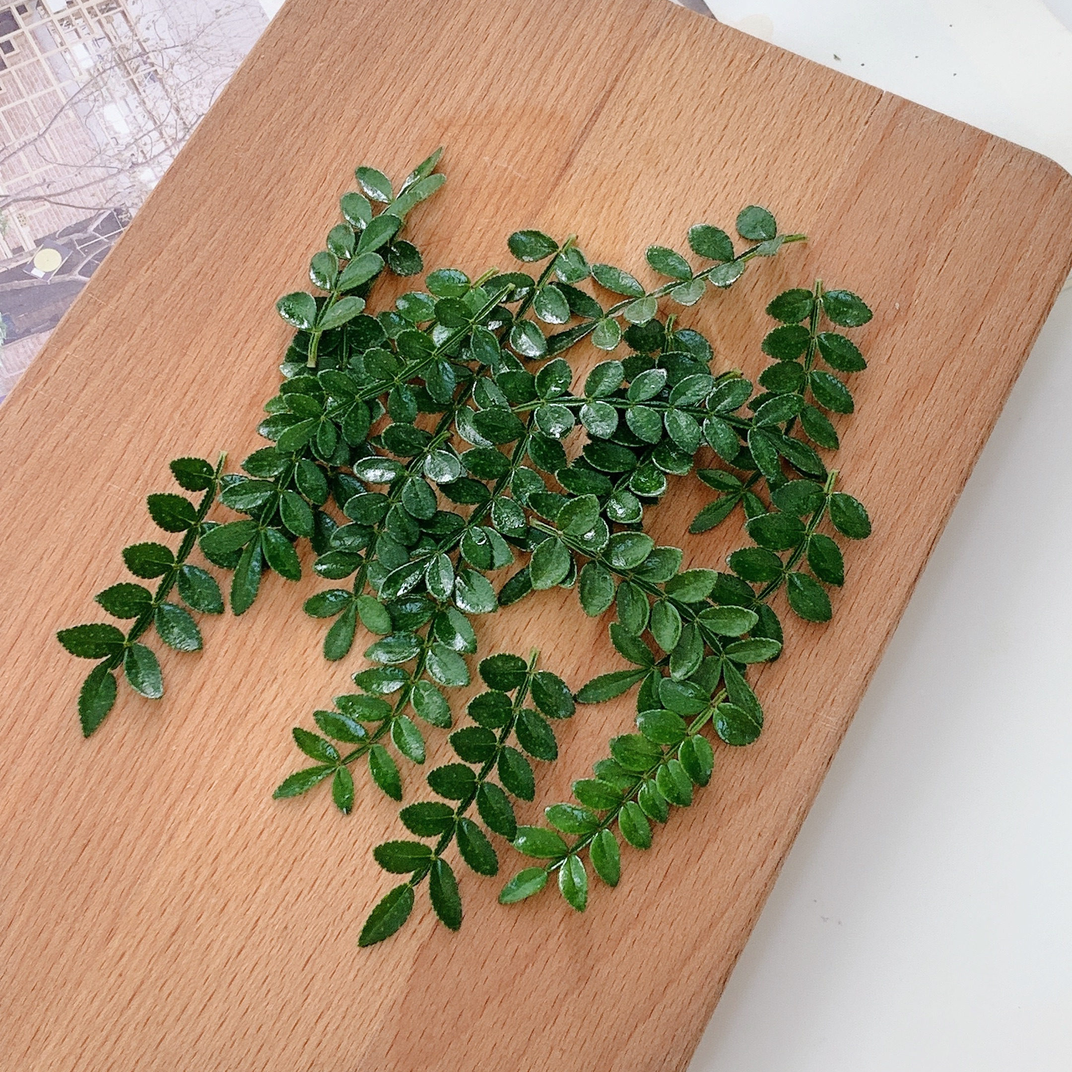 Fresh and fragrant wood, pepper wood, hotel Western cuisine, Japanese cake, baking, wine, decoration, flowers and grass