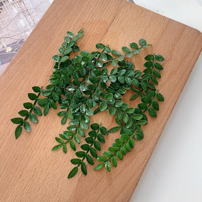 Fresh and fragrant wood, pepper wood, hotel Western cuisine, Japanese cake, baking, wine, decoration, flowers and grass