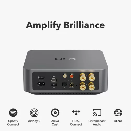 Wiim Mini Pro Plus Amp беспроводной аудио -приемник, усилитель, AirPlay2 DLNA