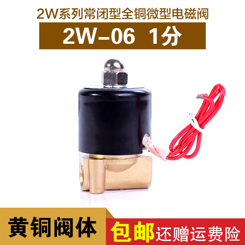 1cVyOdB9Ms normally closed solenoid valve 1 minute 2W-06 water valve valve all copper AC220V