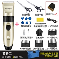 Золото шампанского [Пакет 2] Двойной обычный срез+головка ножа