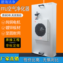 Industrial Effu Air Purifier Clean Shed 100 Grade Bench one thousand Level Blower Filtration Unit Laminar Flow Hood Dust-free