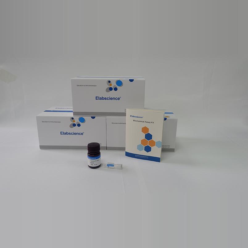 EasySortTM Mouse CD3+T Cell Isolation Kit  伊莱瑞特 MIM001N