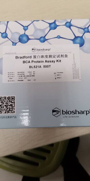 BIOSHARP bradford 蛋白浓度测定试剂盒  BCA protein assay kit