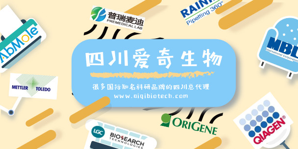 RAININ瑞宁吸头30374585
