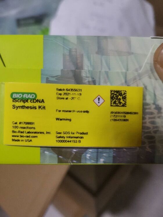 美国BIO-RAD 伯乐CDNA合成试剂盒 100*20ul 1708891