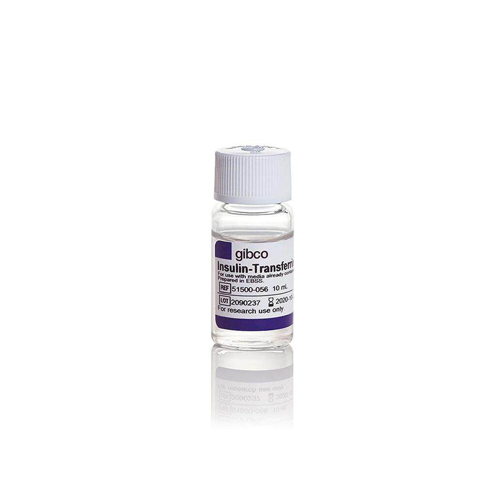 gibco 51500-056  (ITS -X) (100X),?10ml