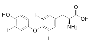 Triiodothyronine 甲碘胺；碘赛罗宁   M6079 ABMOLE 100mg