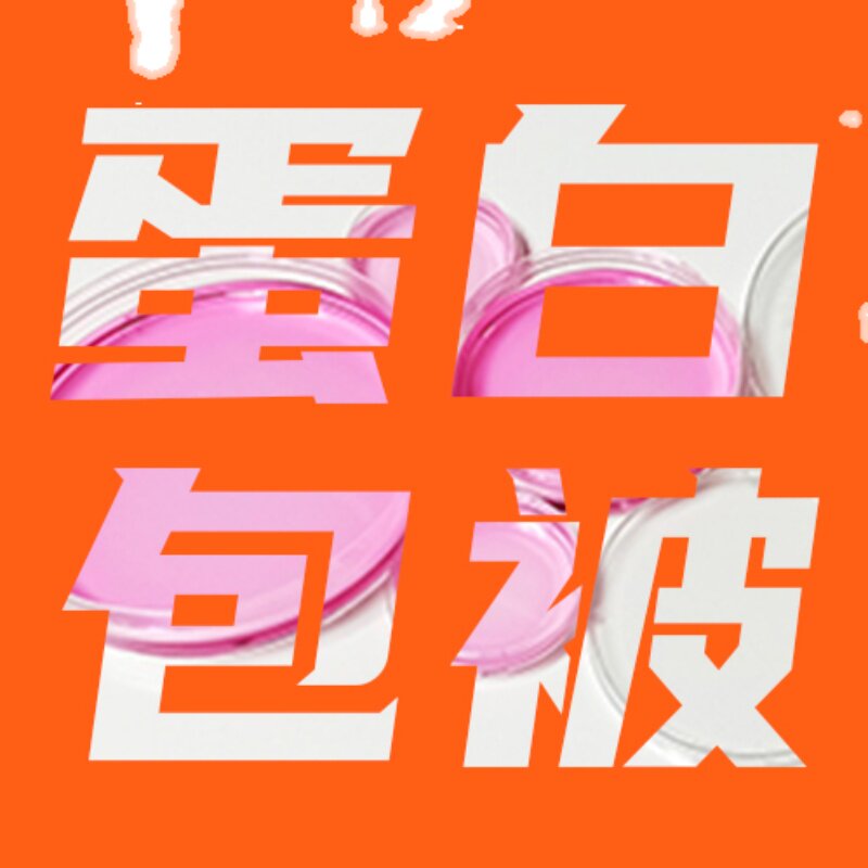 WHB 卧宏 层粘连蛋白预包被器皿 Protein Cell Cultureware