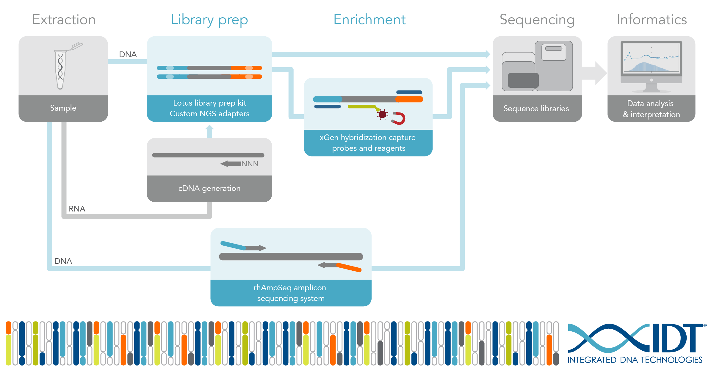 IDT Lotus DNA Library Prep Kit