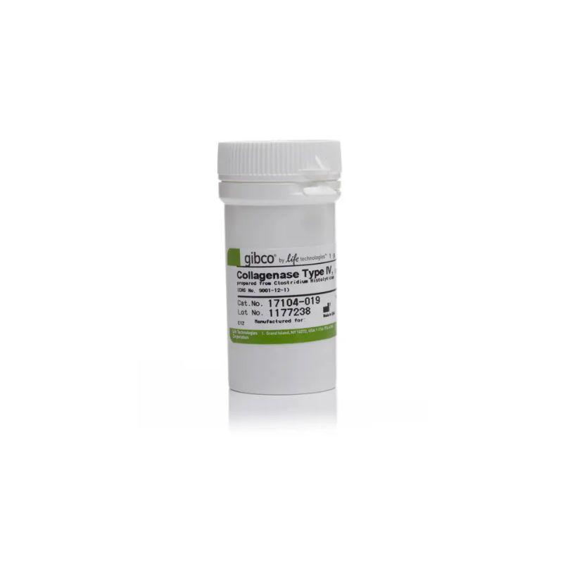 GIBCO 17104019 IV胶原酶 Collagenase,Type IV,powder