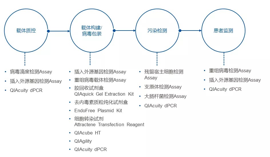 QIAcuity dPCR解锁AAV病毒滴度精准定量新方法