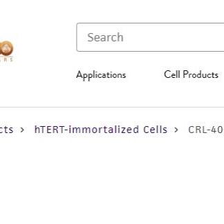 T HESCs  人永生化子宫内膜基质细胞 ATCC