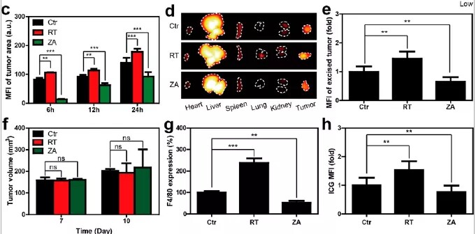 Elabscience助力胰腺AI精确治疗相关研究