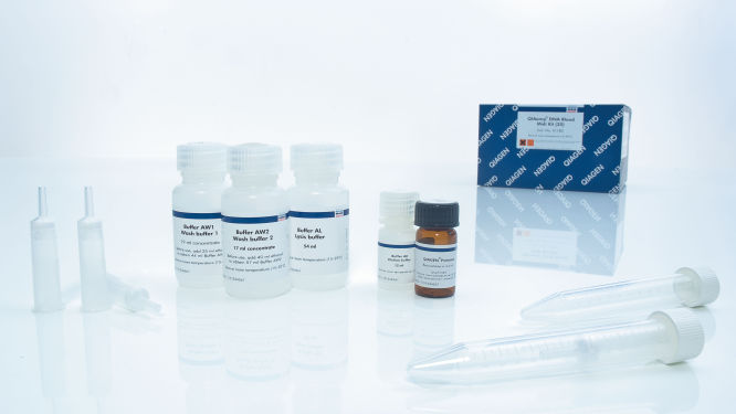 QIAGEN QIAamp DNA Blood Midi Kit (20)  51183
