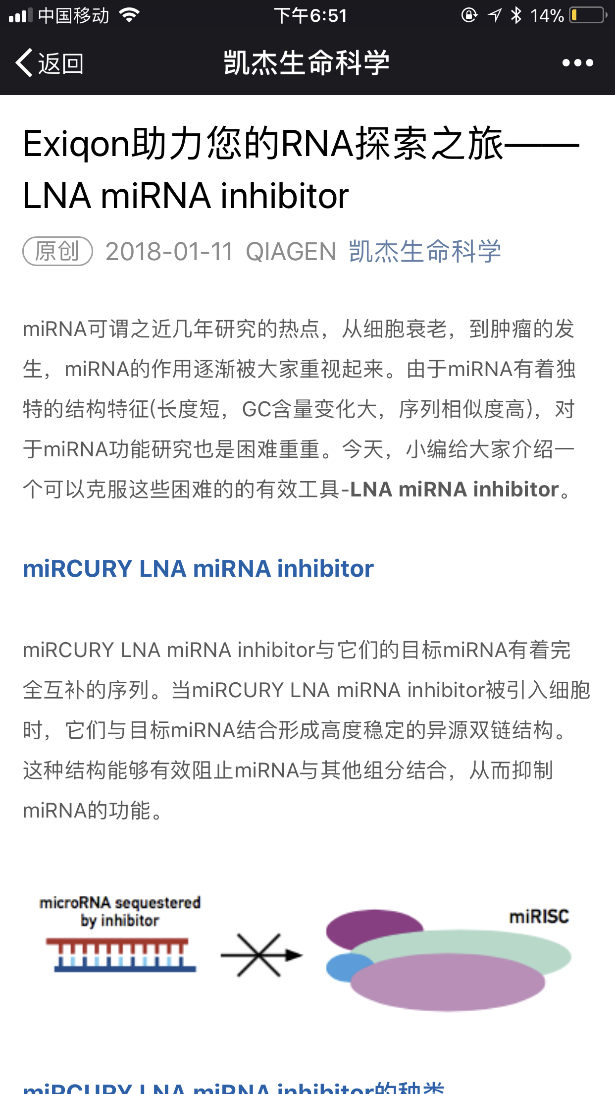 EXIQON LNA miRNA INHIBITOR