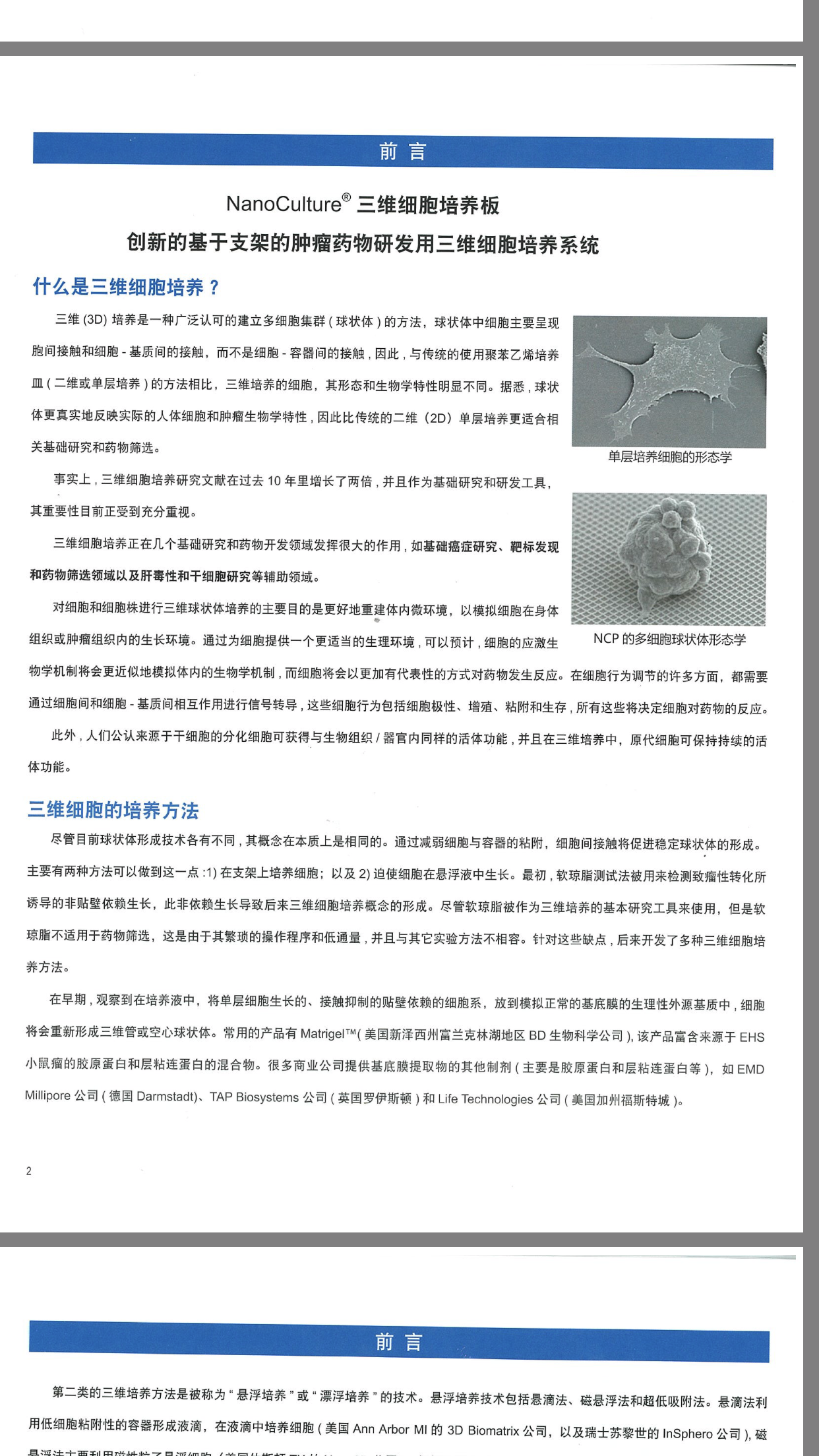 SCIVAX LIFE SCIENCES 3D细胞培养系列耗材