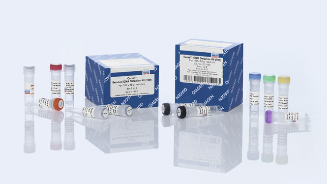 QIAGEN 211822 Certal Residual DNA Detection Kits
