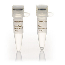 DreamTaq PCR Master Mix (2X)  200次反应