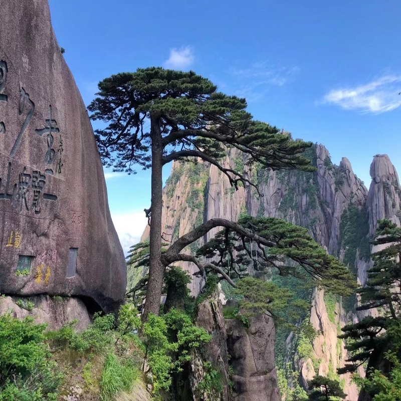 黄山二日游:纯玩跟团体验山巅日出的魅力之旅