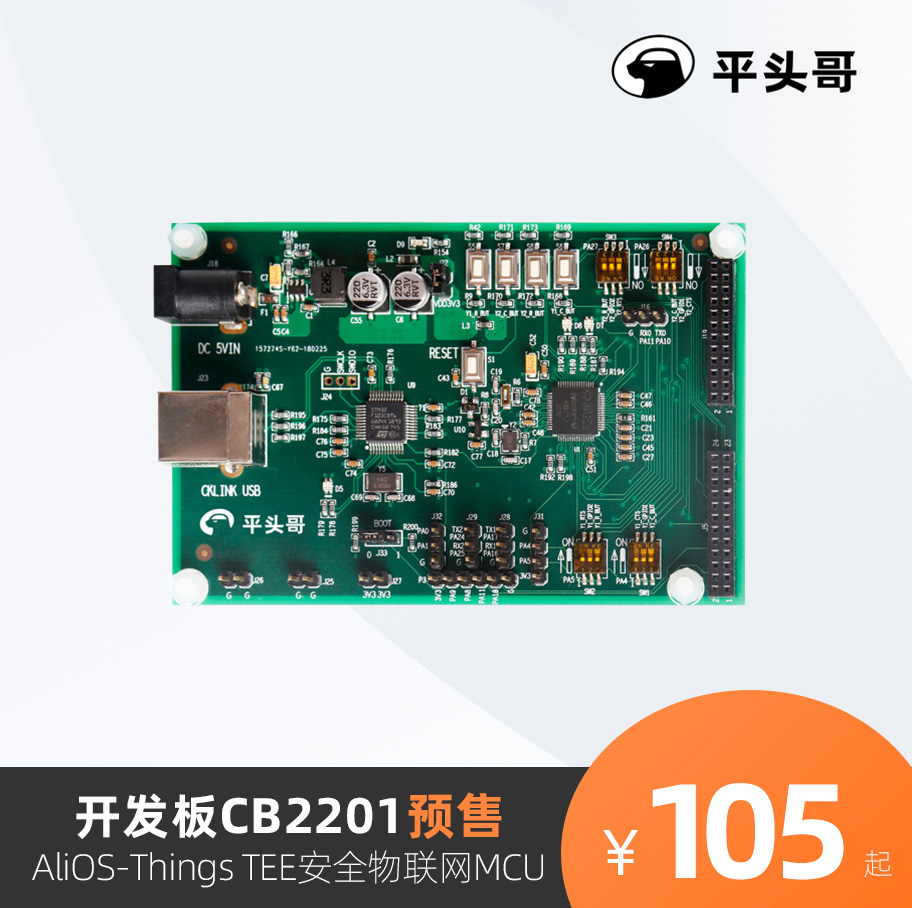 Flat-head Gothic Security IoT Development Board CB2201 AliOS-Things TEE Safety MCU CH2201