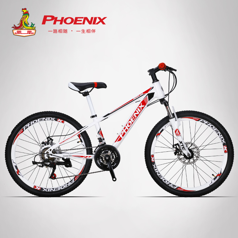 Велосипед Phoenix Journey 20. Велосипед Phoenix Journey 26. Велосипед Phoenix 12 Speed. Велосипед Phoenix 21 скорость. Journey 26