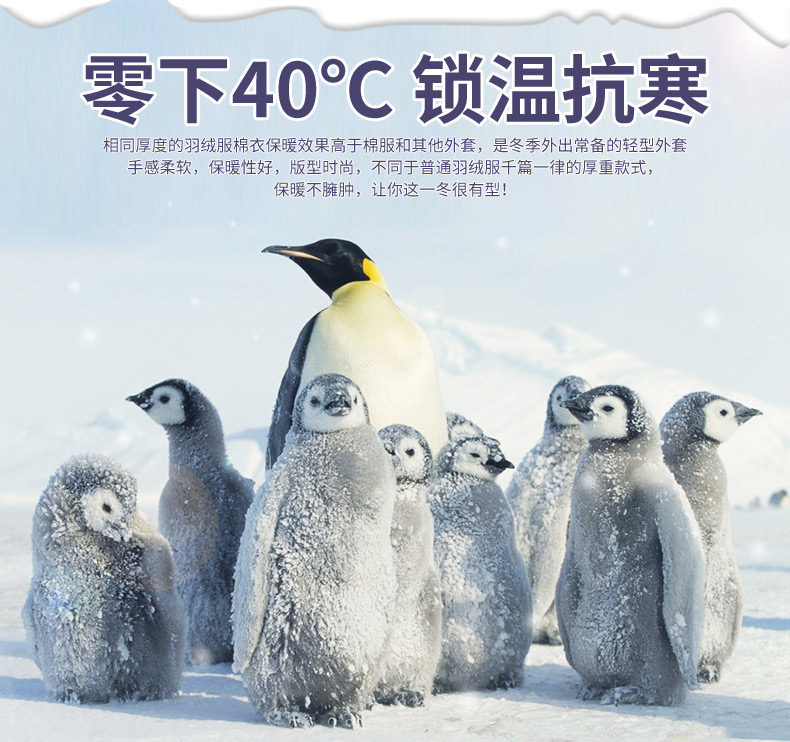 Blouson homme - Ref 3120172 Image 10