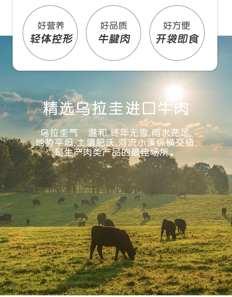 宋大房 轻食高蛋白 即食乌拉圭牛腱子肉 80g*4包 图4